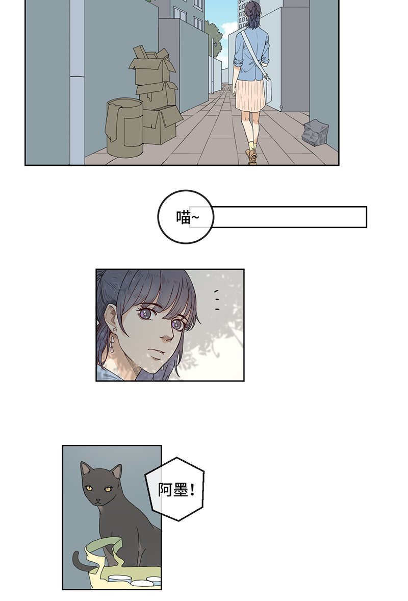 章节图片